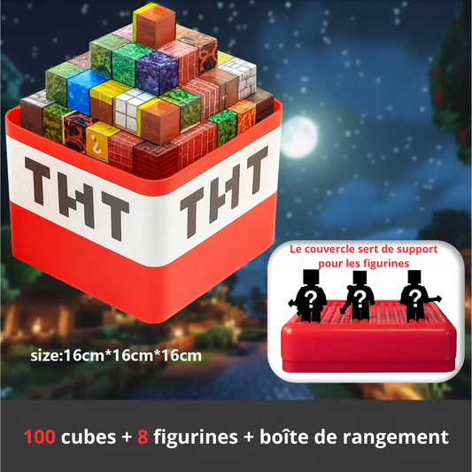 Boîte de rangement + 100 blocs + 8 figurines